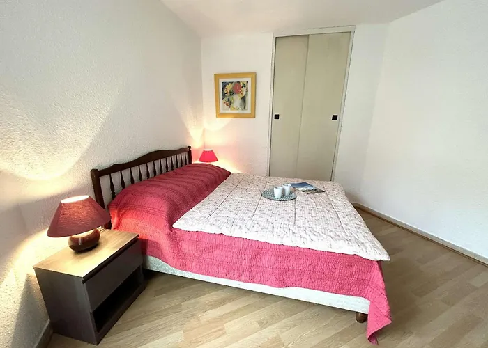 Sr190-029 Appt 3 Pieces 4 Personnes St Raphael Daire *